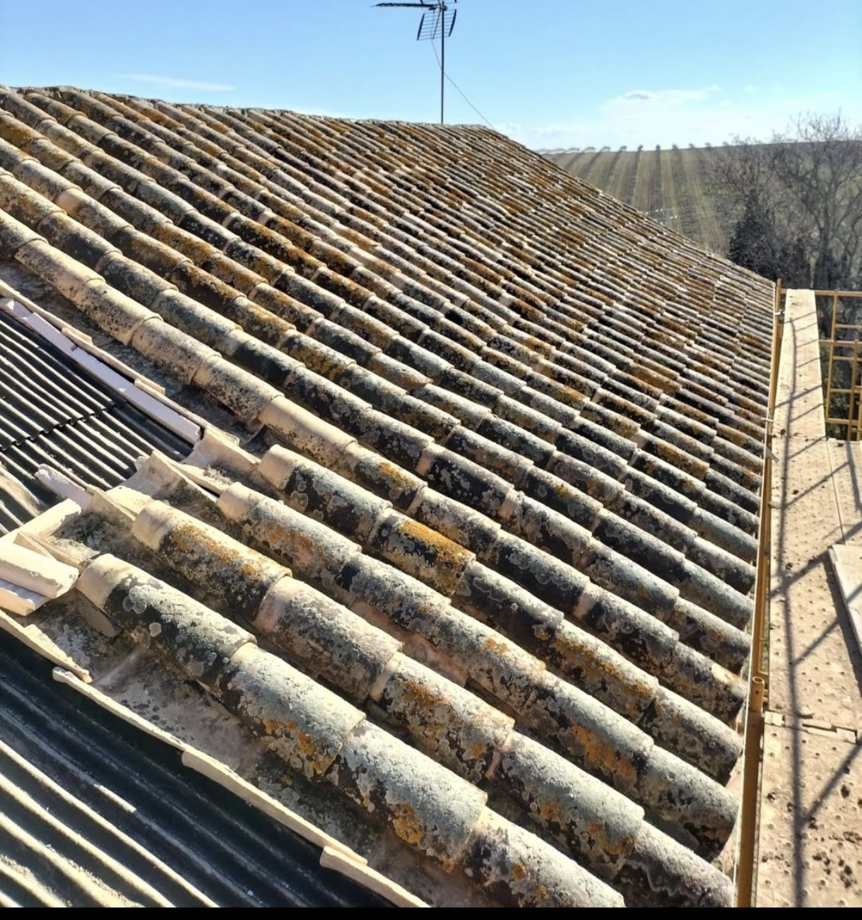 Teja curva recuperada derribo cobijo